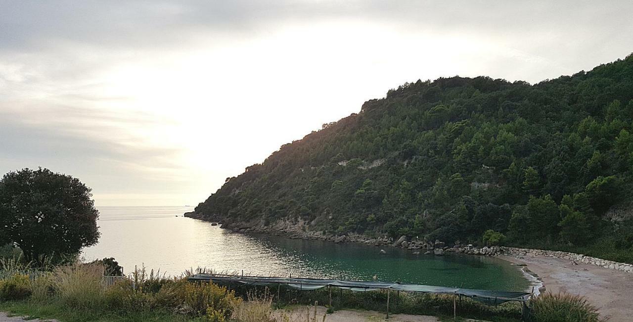 Villa "Il Nespolo" Scauri  Exterior foto